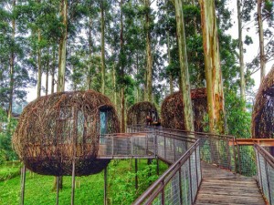 Dusun Bambu lembang