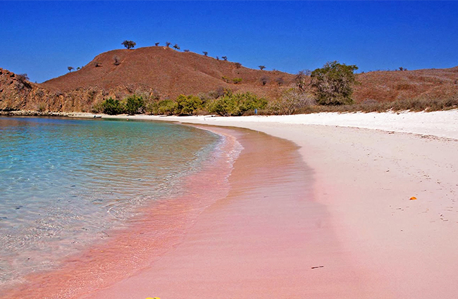 Pulau Komodo pink beach