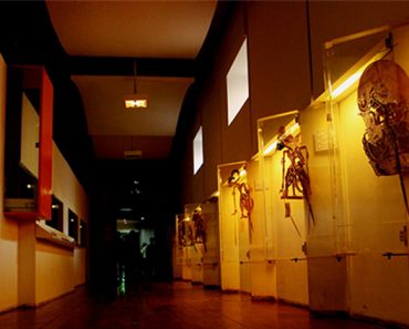 Museum Wayang, Jakarta Night Museum